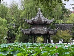 -墅园