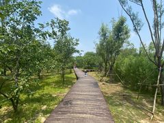 -东郊湿地公园