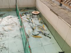 -钰田大院·怀柔地道农家菜·烤虹鳟鱼(雁栖湖店)