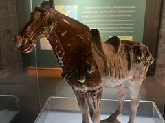 -衢州市博物馆