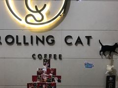 -滚猫咖啡·猫咖·猫友好撸猫(未来城店)