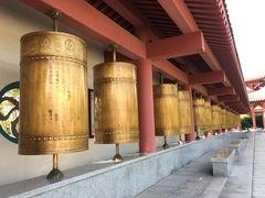 -龙口南山旅游景区