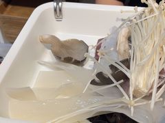 -许小树(国贸商城店)