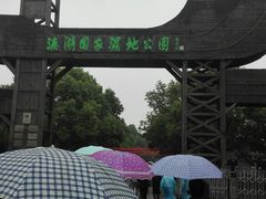 -溱湖国家湿地公园