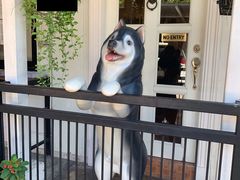 -TrueLove @ Neverland (Husky Cafe)