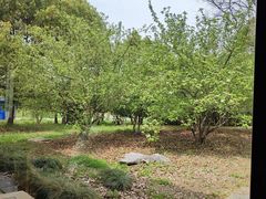 -东园小馆·早茶·淮扬小炒(宋夹城店)