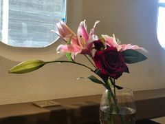 -法兰度航空主题餐厅(端州店)