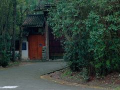 -上海海湾国家森林公园