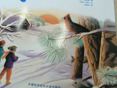 -秦皇岛市图书馆