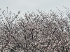 -堤角公园