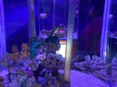 -太平洋海底世界