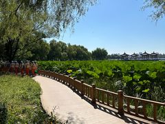 -长春市南湖公园