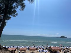 -西涌国际滨海旅游区