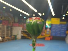 -极限PLAY运动娱乐新世界·团建派对潮玩休闲馆·室内蹦极高空游乐园