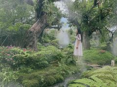 -Chom Cafe and Restaurant