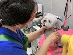 -宠福鑫康馨动物医院·骨科·眼科