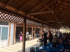 -亲兄弟真人CS团建拓展基地