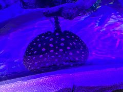 -沈阳海洋探索中心