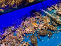 -SEA西雅图海鲜自助餐厅(海乐世界店)