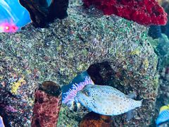 -沈阳海洋探索中心