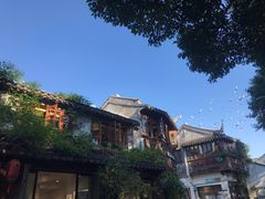 -猫的天空之城概念书店(苏州平江店)