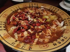 -邵年鸽(杨庄店)