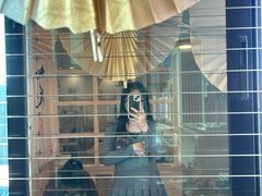 -楼上猫咖(罗湖店)