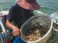 -日照世帆赛基地