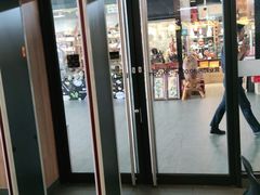 门面-麦当劳(庐山服务区店)