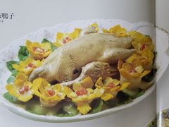 -芙蓉凰花园酒楼