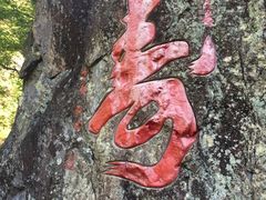 -磐安舞龙峡景区