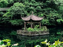 -天明山温泉大酒店