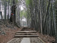 -西湖风景区十里琅珰-五云山