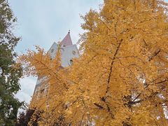 -南山鲜虾面·活鲜小馆·海味大连菜(南山总店)