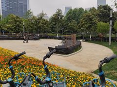 -天鹅湖体育公园