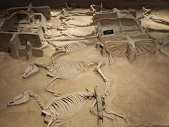 -洛阳周王城天子驾六博物馆