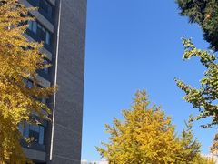 -东北大学(南湖校区)