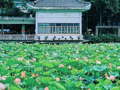 -荔湾湖公园