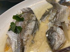 -大门水乡·顺德菜