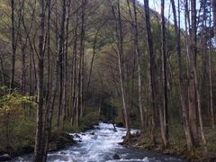 -叠溪松坪沟景区