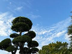 -厦门园林博览苑