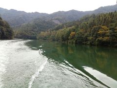 -天台国家森林公园水上茶乡九鹏溪