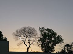 -霸碗盖码饭(长沙河西通程店)