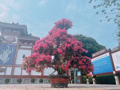 -三亚南山文化旅游区