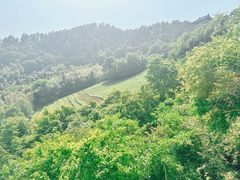 -敬亭山风景名胜区