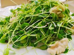香椿拌核桃-白魁老号饭庄(交道口店)