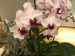 -雅戈尔富宫大酒店(观前街店)