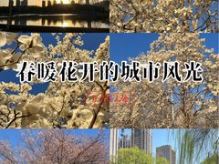 -裕华世纪公园