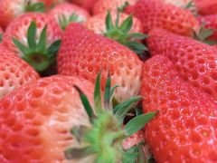 -华联商厦(火车站店)