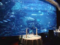 -迪拜帆船酒店海底餐厅